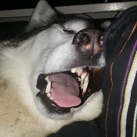 เสียงต้นฉบับ - Onlymood<3