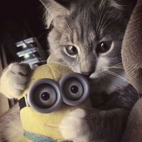 оригинальный звук