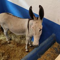marcos051019