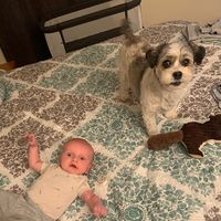 zoey_and_family