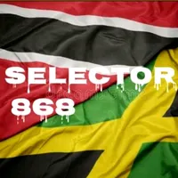 original sound - theselector868