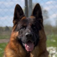 mars_gsd
