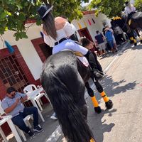 celestemd_11