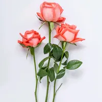 original sound - mymasampalique