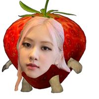 blink_blackpinkss7