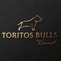 toritosbullskennel