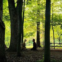 silenciosamente_existo