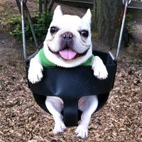 definitelynotbwandyn