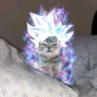 mrchetoos_1