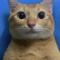 cristianoronaldoo569