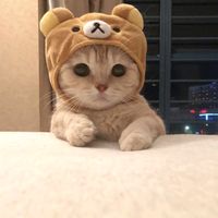 mia_vlogs9