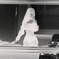 d3nrika
