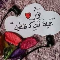 noor33nono3