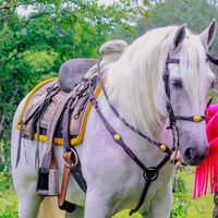 guadalupesstreminio2