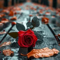 original sound - guanaco839