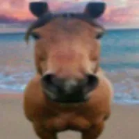 original sound - panchitoo087