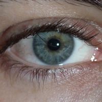 tubesockfullofbakedbeans