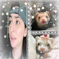 _hellococo_xrt