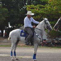 cristianramoszavala1