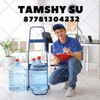 tamshy.su