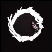 a letter to my freshman self