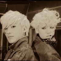 zelqxx