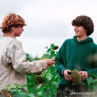alex.valdospino14