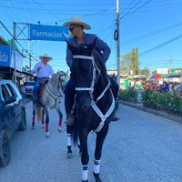 adrian_carrera202