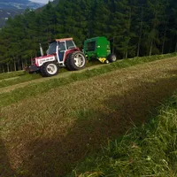 und am Mittwoch kommt die Müllabfuhr