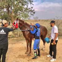 carrilerosdelaregion