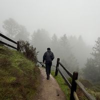 andrewstandsalone.iv