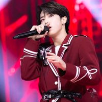 stray_kids_mis_idolos