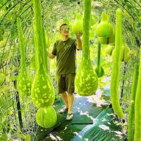 gourdfarmer