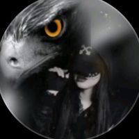 amira_talam8