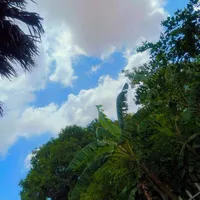 original sound - iskufilanali