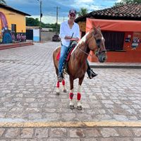 guillermoquezada936