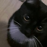 keisuke_baji_180