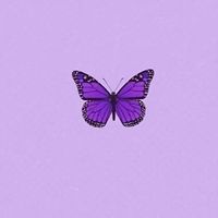 edits.edits036