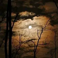 original sound - arjuna.1music