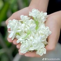 nhạc nền - Trucquynh7693