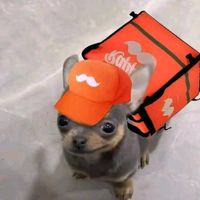 the_zock