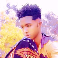 abshir.xusen11