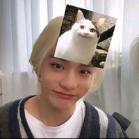 hwangmipololo