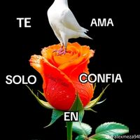 _blanca_202
