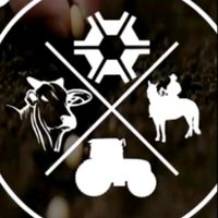 pamelamachadofonseca