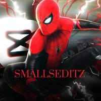 smallseditz_1