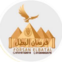 mina_elbatal