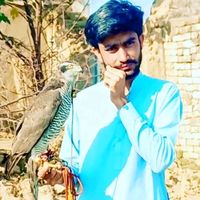 kazmi512ooo