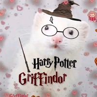 draco..harry..simp