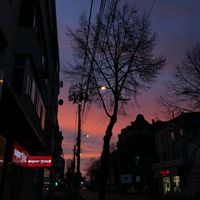 sunet original